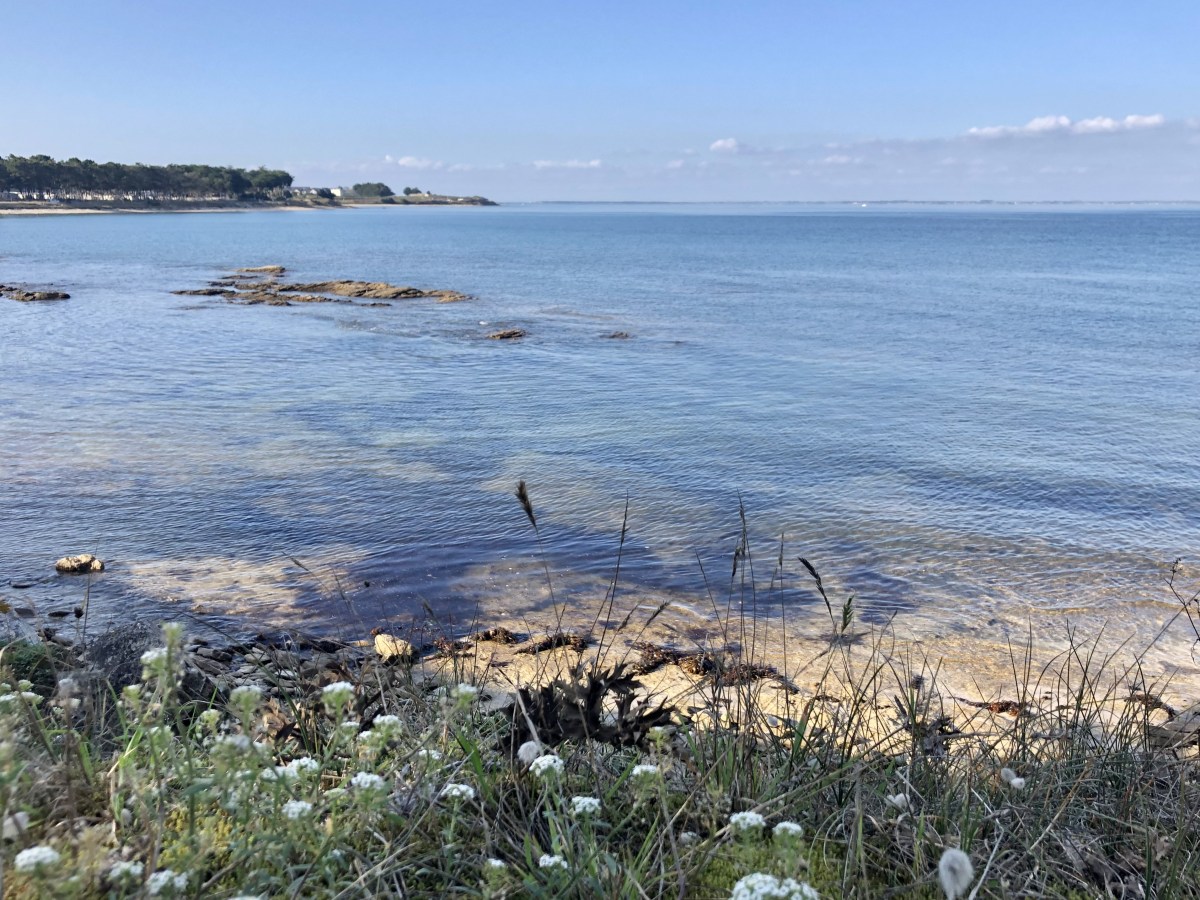 Week-end en Morbihan : Carnac, Vannes &&nbsp;Quiberon