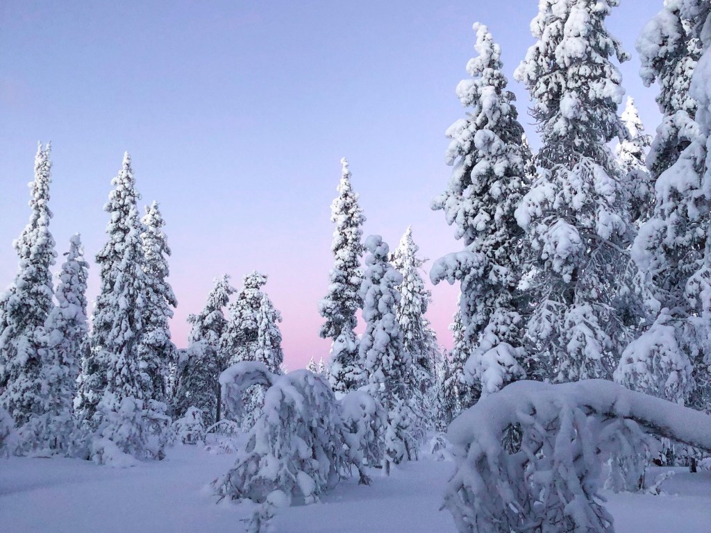 Les traditions de Noël en Finlande